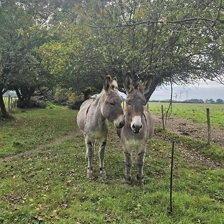 Prázdninový dům Du Theil Au Servant