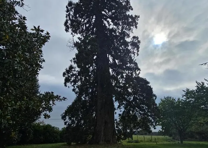 Du Theil Au Servant بيت للعطل *